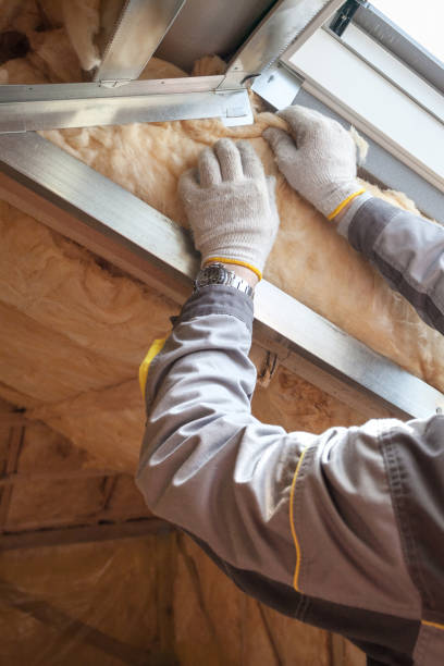 Best Cellulose Insulation  in North Chicago, IL
